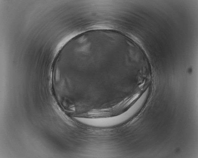 X0000116281179200912211813