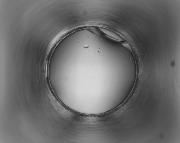 X0000116281180200912211813