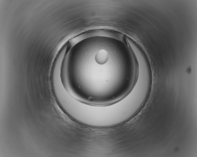 X0000116281181200912211813