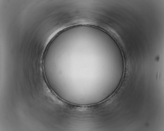 X0000116281182200912211813