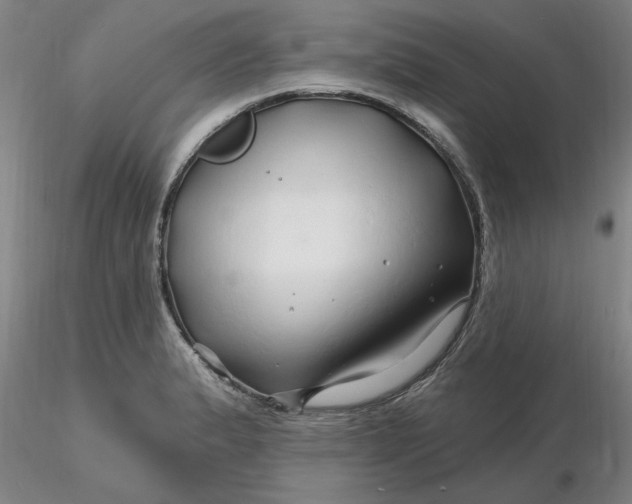 X0000116281183200912211813