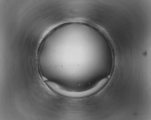 X0000116281184200912211813