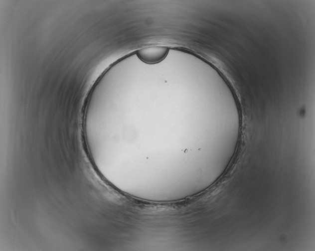 X0000116281187200912211813