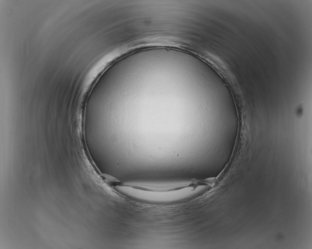 X0000116281188200912211813