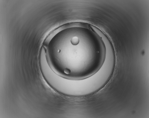 X0000116281189200912211813