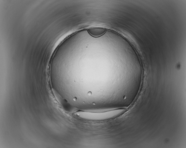 X0000116281190200912211813