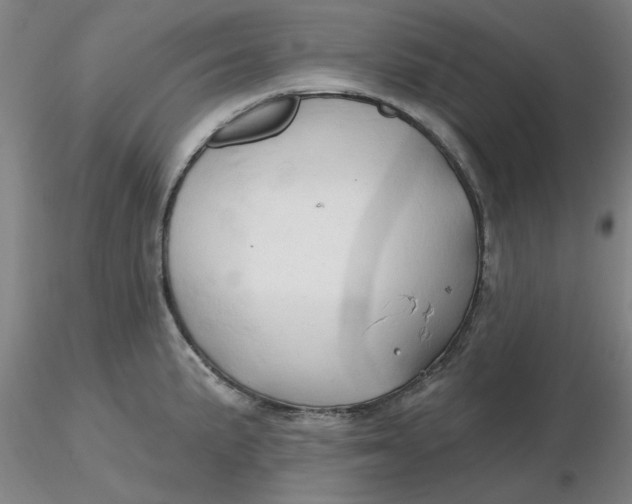 X0000116281191200912211813