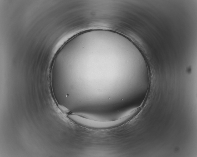 X0000116281192200912211813