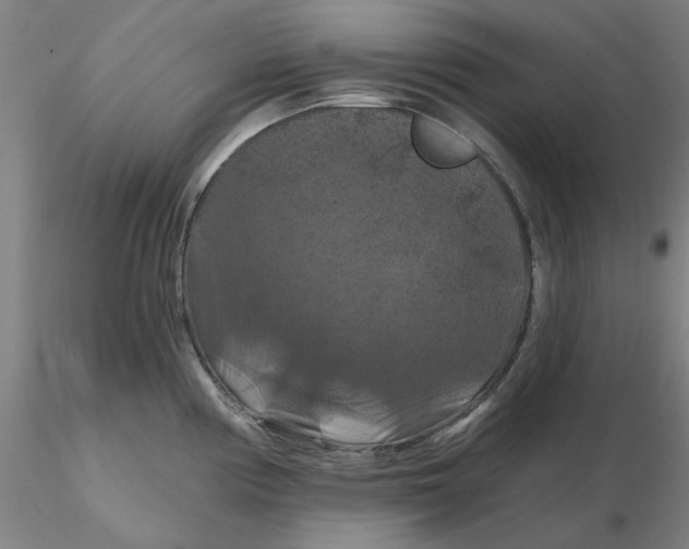 X0000116281194200912211813