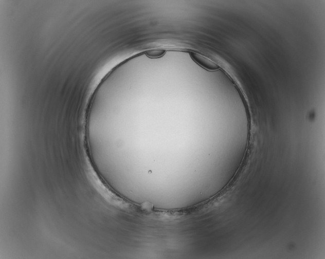 X0000116281195200912211812