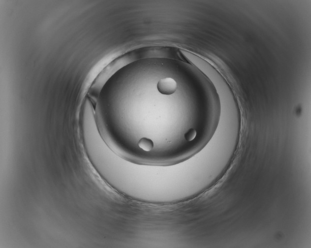 X0000116281196200912211812