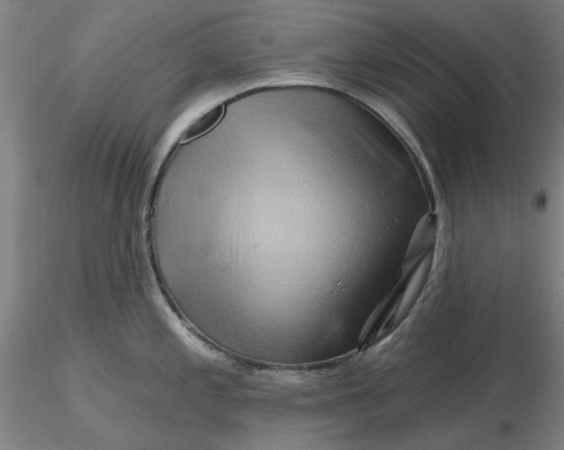 X0000116281197200912211812