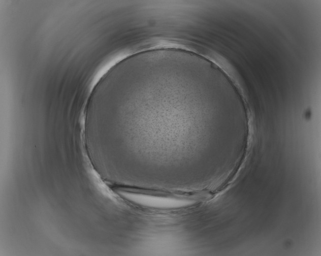 X0000116281198200912211812