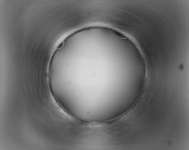 X0000116281199200912211812