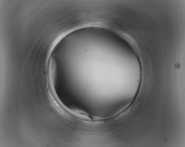 X0000116281200200912211812