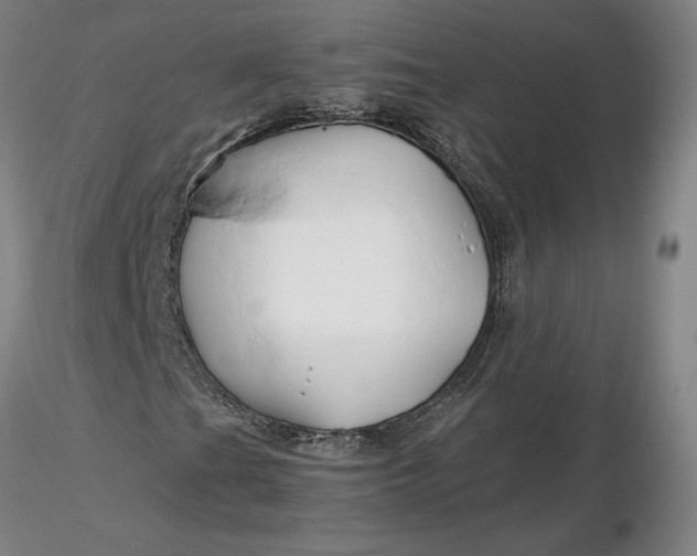 X0000116281201200912211812