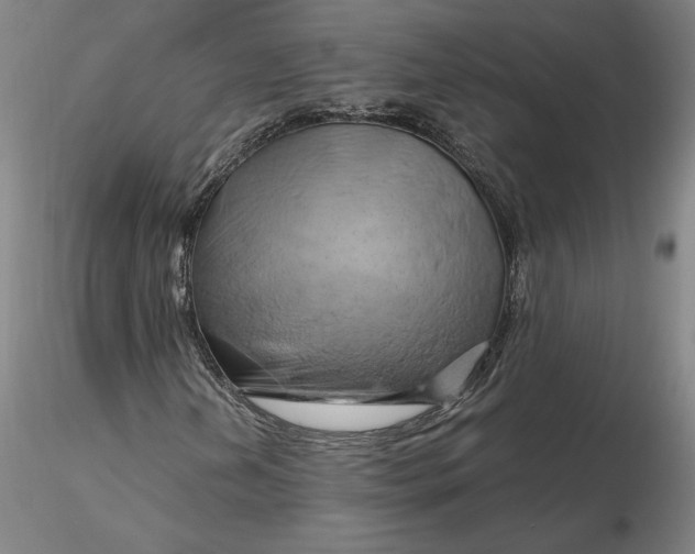 X0000116281202200912211812