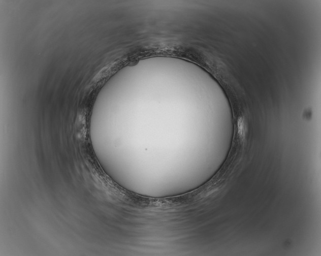 X0000116281203200912211812