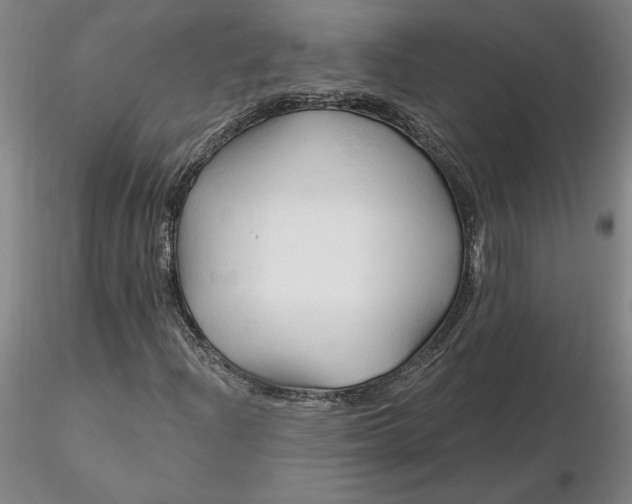 X0000116281204200912211812