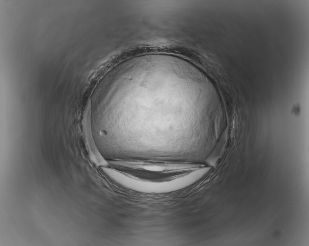 X0000116281205200912211812