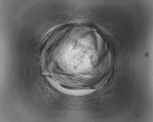 X0000116281206200912211812