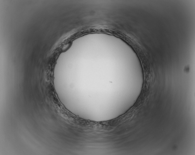 X0000116281207200912211812