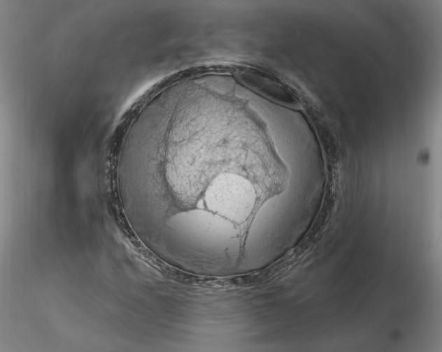 X0000116281208200912211812