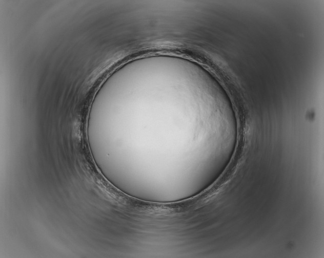 X0000116281209200912211812