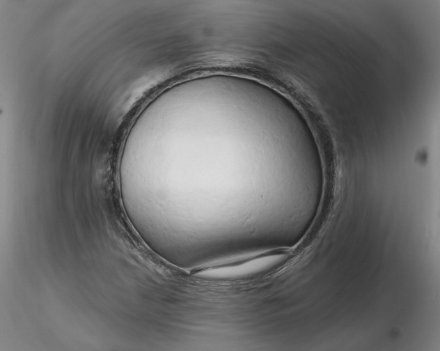 X0000116281210200912211812