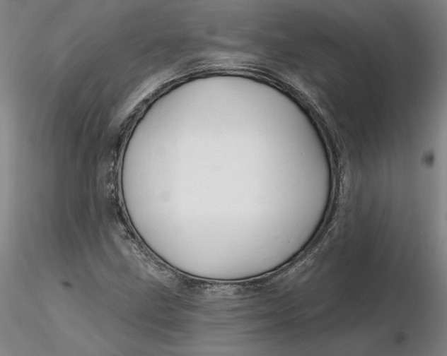 X0000116281211200912211812