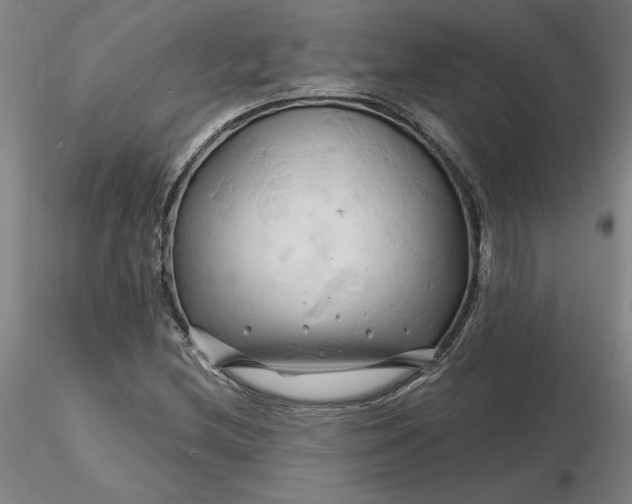 X0000116281212200912211812