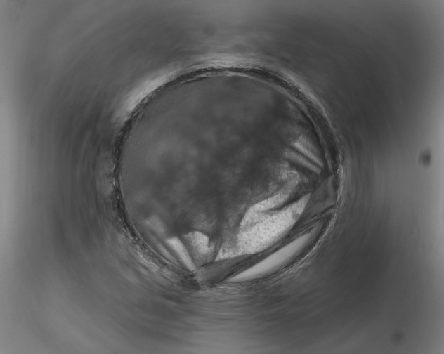 X0000116281213200912211812