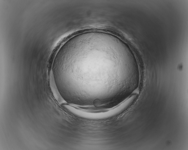 X0000116281214200912211812