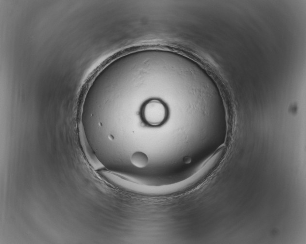 X0000116281216200912211812