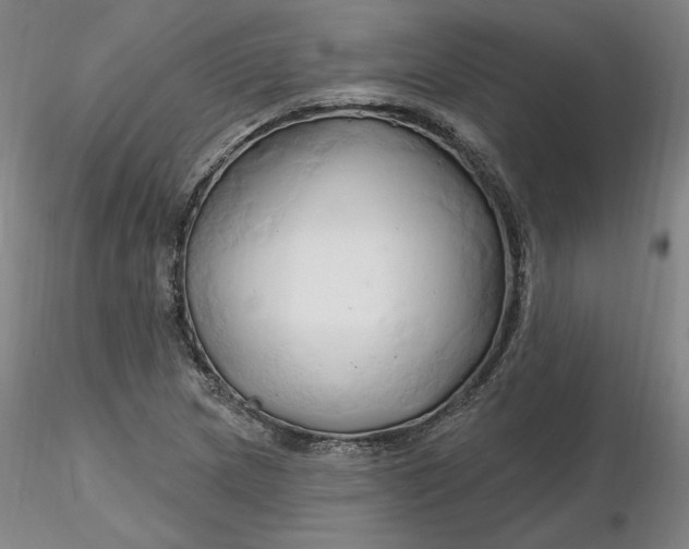 X0000116281217200912211812