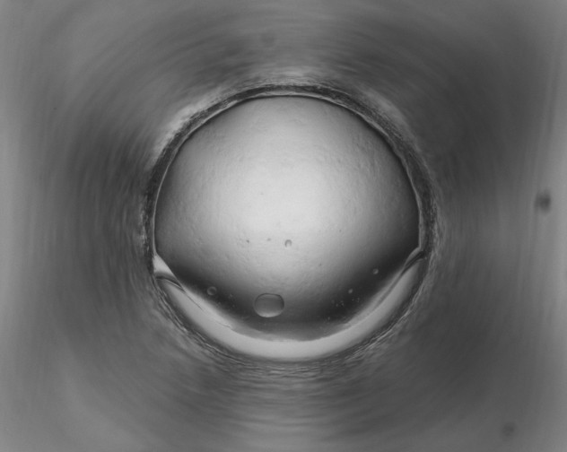 X0000116281218200912211812