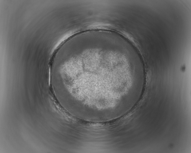 X0000116281219200912211812