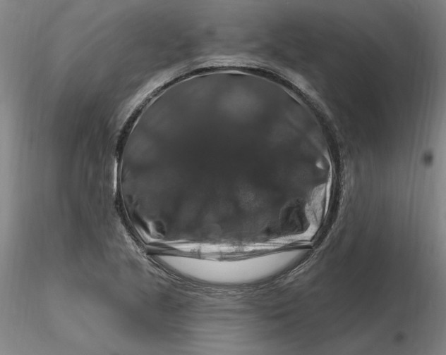 X0000116281221200912211812