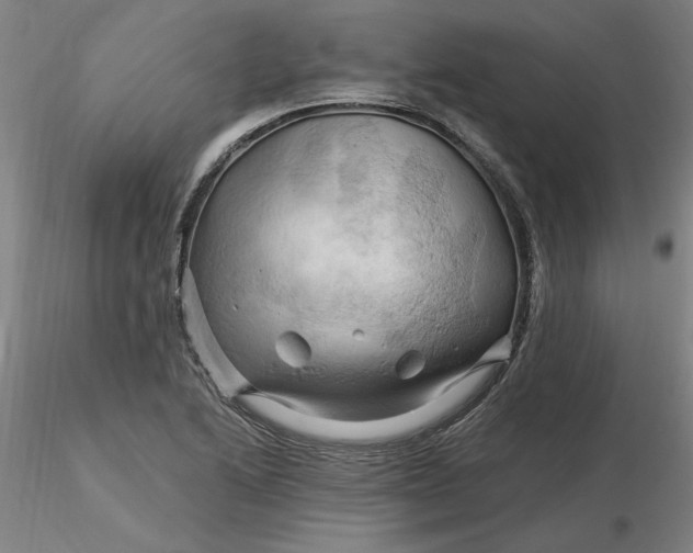 X0000116281222200912211812