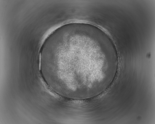 X0000116281223200912211812