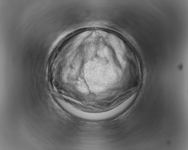 X0000116281224200912211812