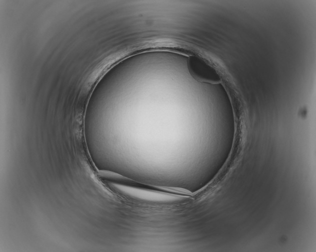 X0000116281225200912211812