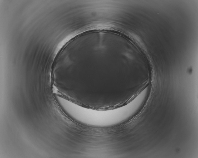 X0000116281226200912211812