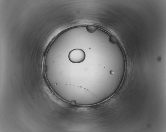 X0000116281227200912211812