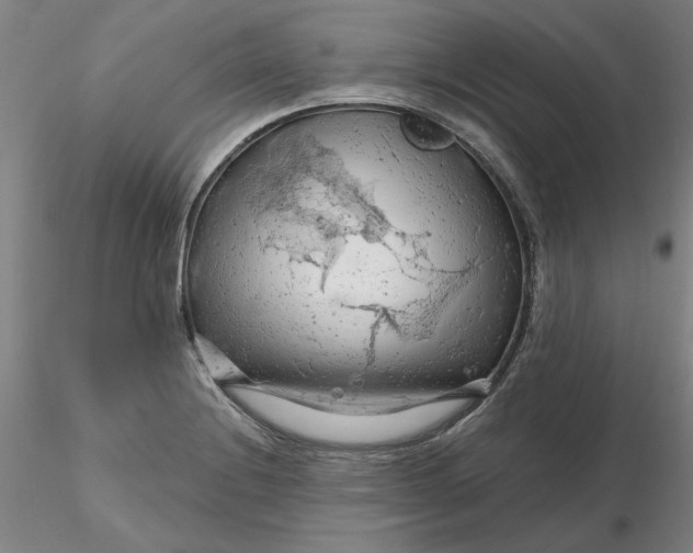 X0000116281228200912211812