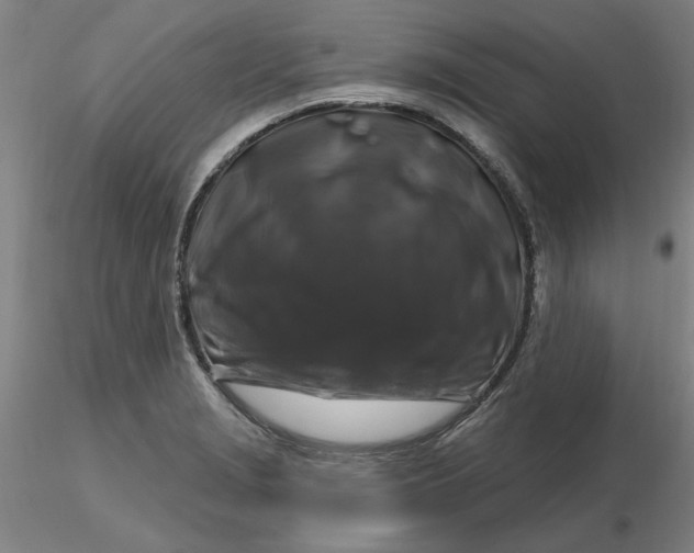 X0000116281229200912211812