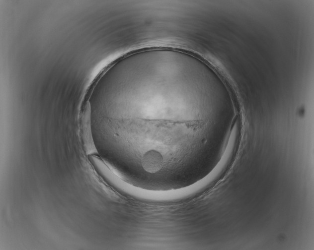 X0000116281230200912211812