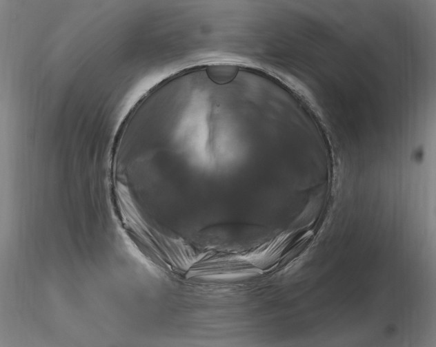 X0000116281231200912211812