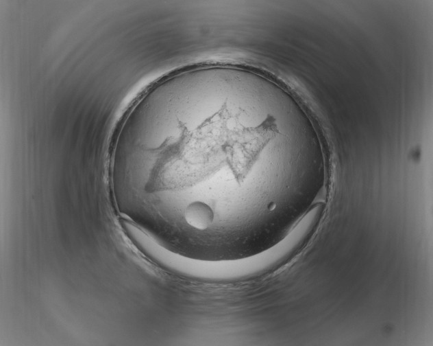 X0000116281232200912211812