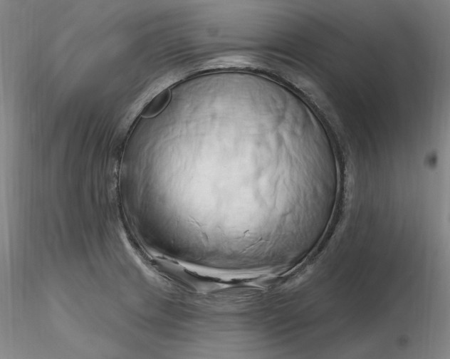 X0000116281233200912211812